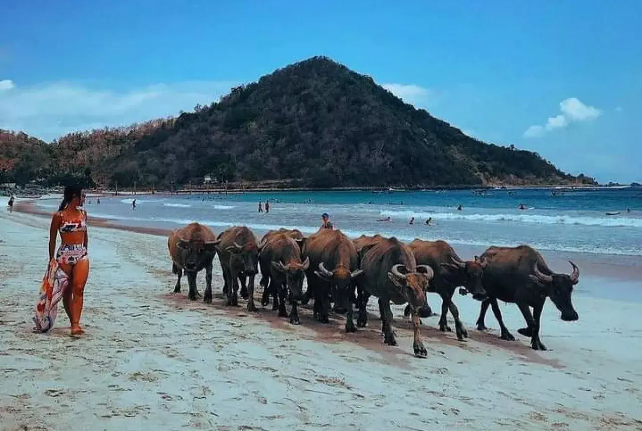 Chill Vibes, Pantai Gila, dan Weekend yang Bikin Betah